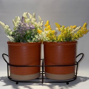 Terracotta Planters with Flowers